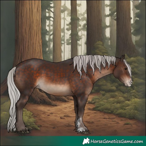 Horse Color:Silver Brown Sabino