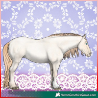 Horse Color:Amber Cream Champagne Roan Pearl Rabicano