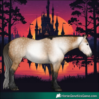 Horse Color:Gray Buckskin 