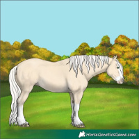 Horse Color:Silver Amber Cream Champagne Splash 