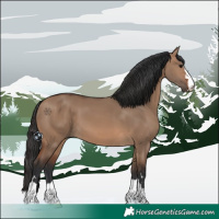 Horse Color:Brown Dun 
