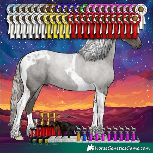 Horse Color:Silver Black Tobiano 