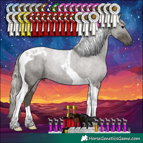 Horse Color:Silver Black Tobiano 