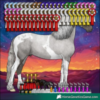 Horse Color:Silver Black Tobiano