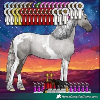 Horse Color:Silver Black Tobiano