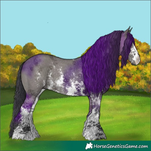 Horse Color:Grullo Sabino Rabicano 