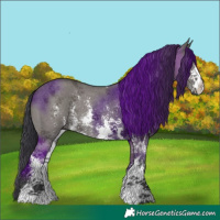 Horse Color:Grullo Sabino Rabicano 