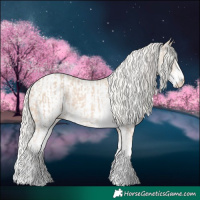 Horse Color:Cremello Sabino  and Cremello Sabino Appaloosa 