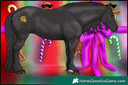 Horse Color:Smoky Black 