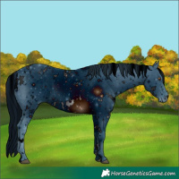 Horse Color:ERROR: UNKNOWN ANOMALY