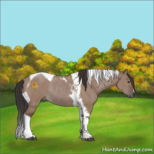 Horse Color:Bay Dun Tobiano Rabicano 