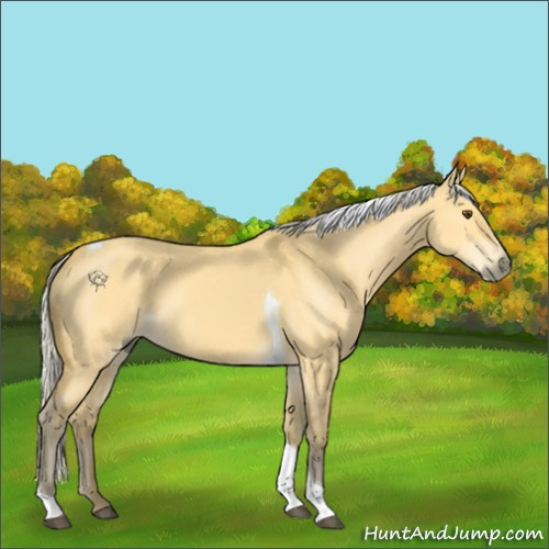 Horse Color:Silver Buckskin Dun Tobiano 