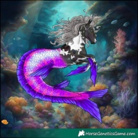 Horse Color:White Spotted Midnight Chocolate Silver Brown Chinchilla Dun