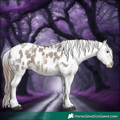 Horse Color:Brown Ice Dun Sabino Appaloosa Rabicano 