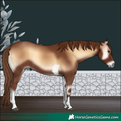 Horse Color:Red Onyx Tobiano 