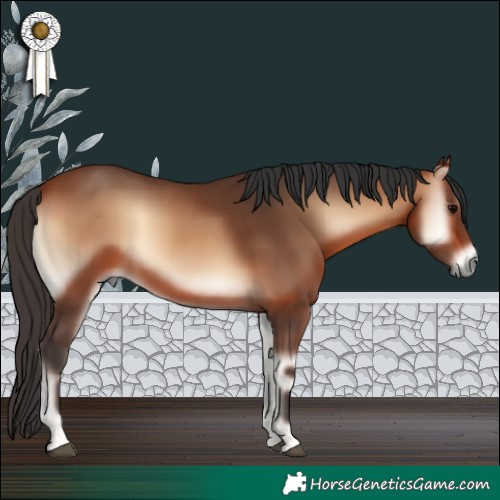 Horse Color:Bay Onyx 