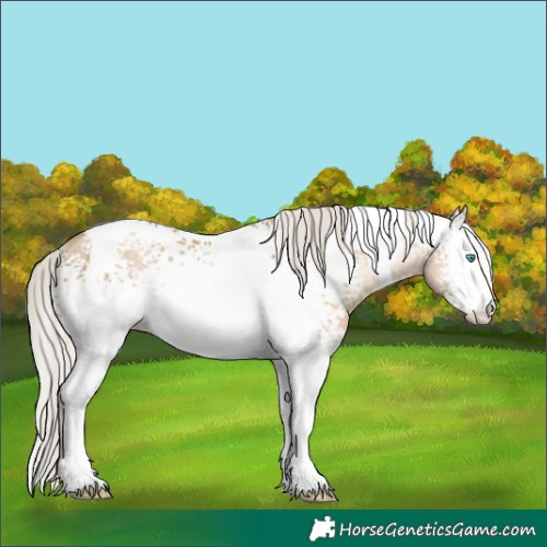 Horse Color:White Spotted Silver Smoky Black Pearl Tobiano Rabicano 