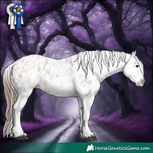 Horse Color:White Spotted Bay Roan Appaloosa Rabicano 