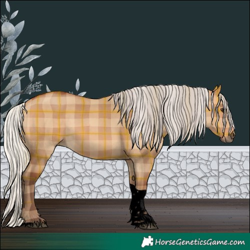 Horse Color:Void Plaid Silver Bay Dun Tobiano Rabicano