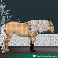 Horse Color:Void Plaid  Silver Bay Dun Tobiano Rabicano 