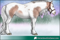 Horse Color:Platinum Silver Bay Splash Tobiano 