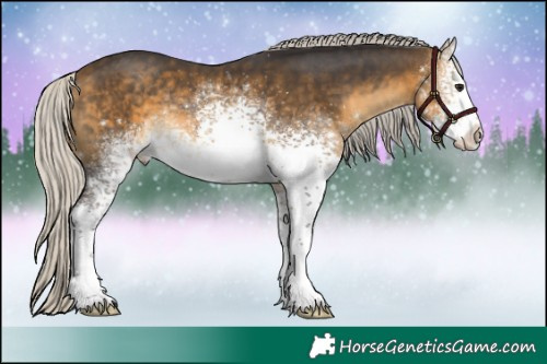 Horse Color:White Spotted Silver Buckskin Sabino Rabicano 