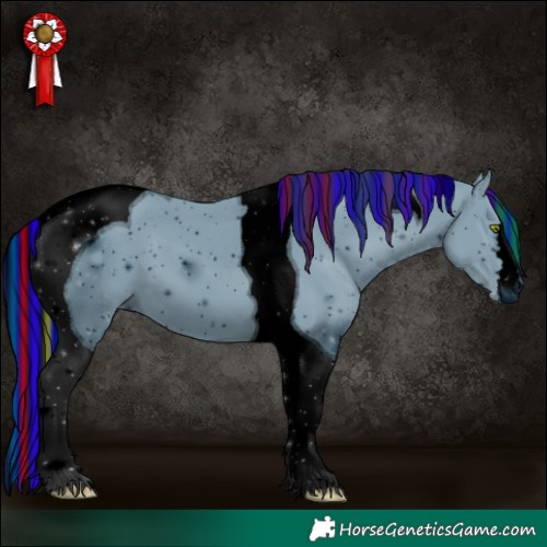 Horse Color:ERROR: UNKNOWN ANOMALY
