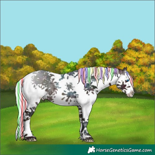 Horse Color:Painted White Spotted Midnight Silver Brown Ice Splash Tobiano Rabicano 