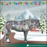 Horse Color:Nacre Plaid  White Spotted Silver Blue Onyx Chinchilla Ice Tobiano 