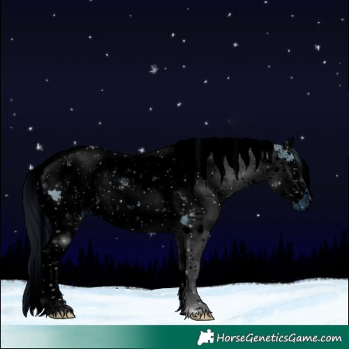 Horse Color:ERROR: UNKNOWN ANOMALY