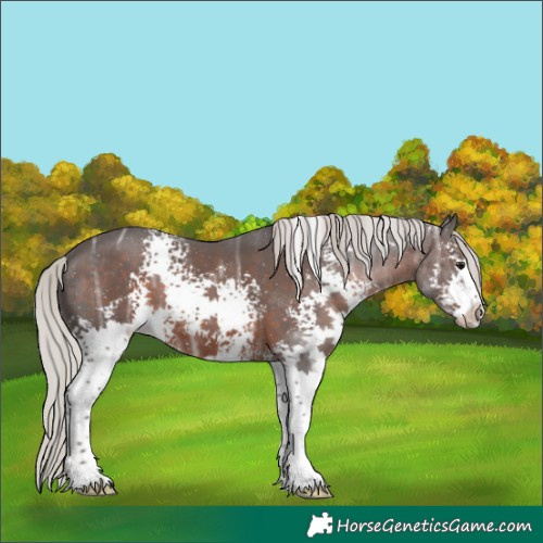 Horse Color:White Spotted Silver Brown Ice Sabino 
