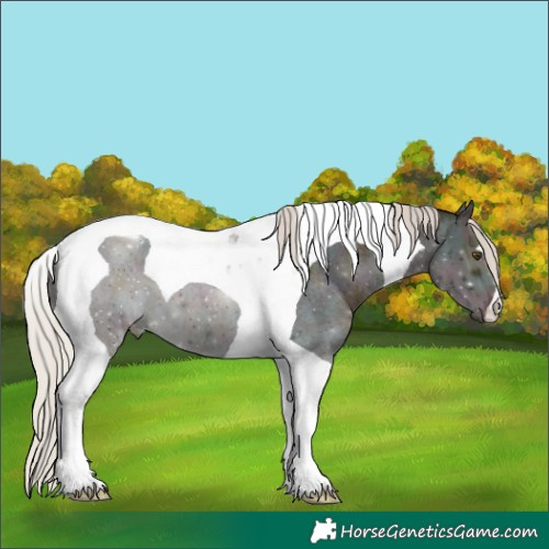 Horse Color:Midnight Silver Brown Ice Roan Dun Tobiano 