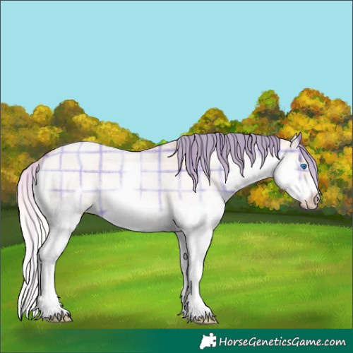 Horse Color:Plaid  Silver Sable Champagne Roan Dun Splash Frame Rabicano 