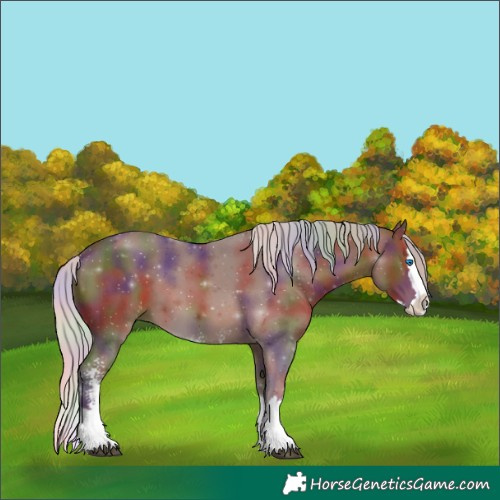 Horse Color:Nacre Silver Bay Sabino Splash 
