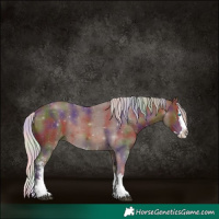 Horse Color:Nacre Silver Bay Sabino Splash 