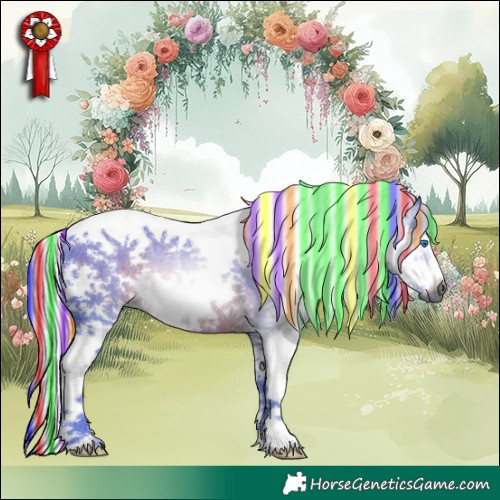 Horse Color:Gray Painted Watercolor White Spotted Silver Black Splash Tobiano Frame Rabicano 