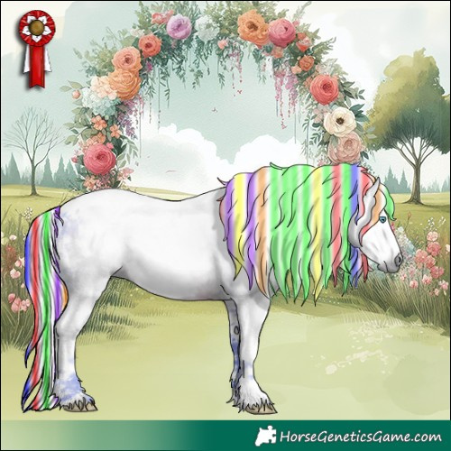 Horse Color:Gray Painted Watercolor White Spotted Silver Black Splash Tobiano Frame Rabicano 