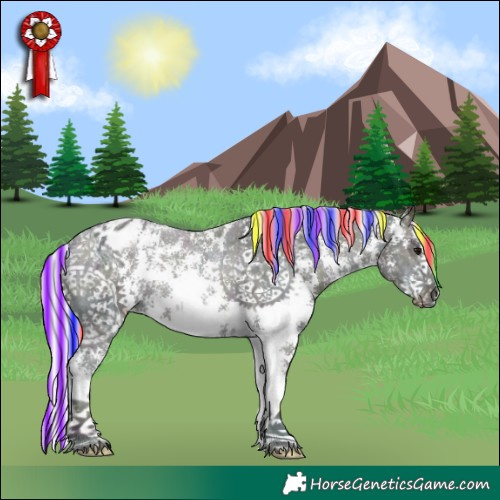 Horse Color:Painted Watercolor Midnight Silver Grullo Ice Sabino Appaloosa 