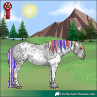 Horse Color:Painted Watercolor Midnight Silver Grullo Ice Sabino Appaloosa 