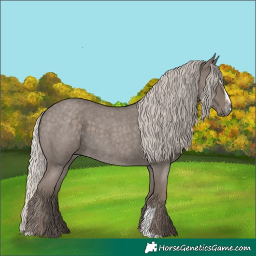 Horse Color:Silver Blue Roan Sabino 