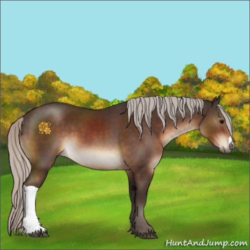 Horse Color:Silver Brown 