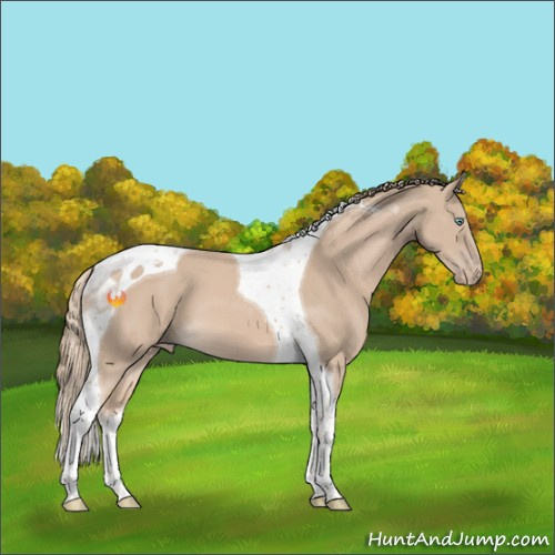 Horse Color:Smoky Creme Tobiano 