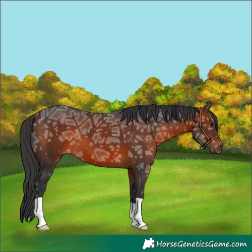 Horse Color:Brown Ice 