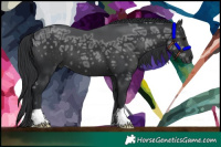 Horse Color:Black Ice 