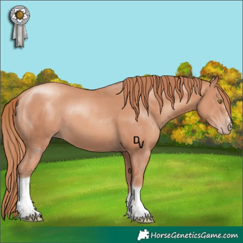 Horse Color:Gold Champagne Tobiano 