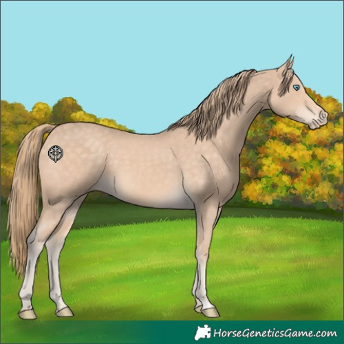 Horse Color:Perlino 