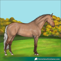 Horse Color:Silver Brown Dun Rabicano 