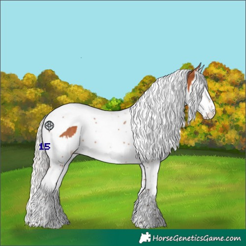 Horse Color:Silver Bay Splash Tobiano Rabicano 