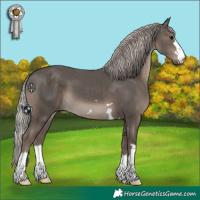 Horse Color:Silver Black