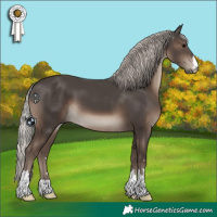 Horse Color:Silver Black 